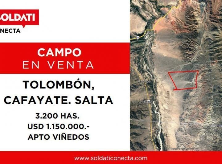 Campo · 32000000m²