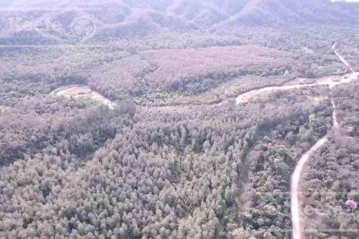 Campo · 63170000m²