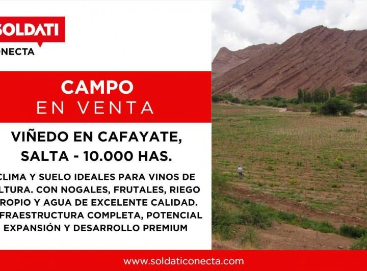 Campo · 100000000m²