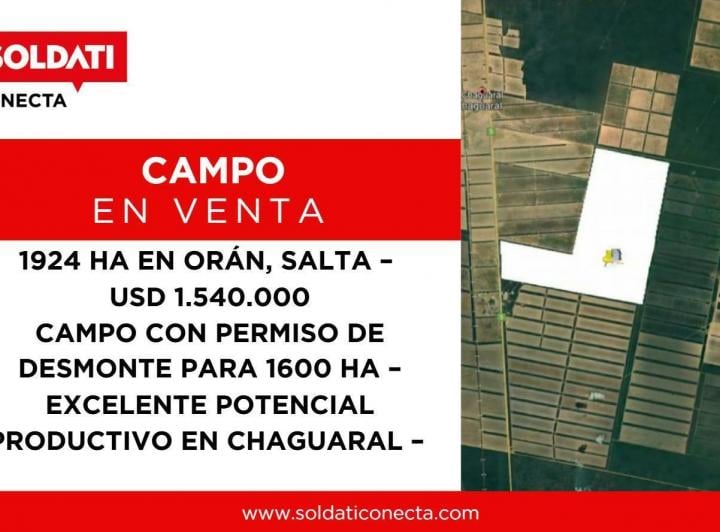 Campo · 19240000m²