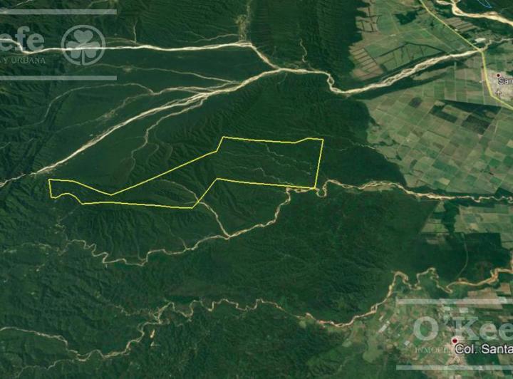Campo · 7300m²