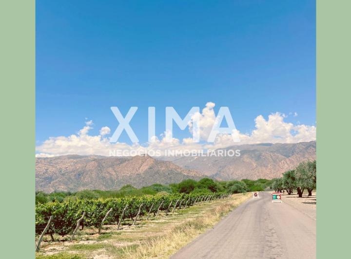 Terreno · 3480m²