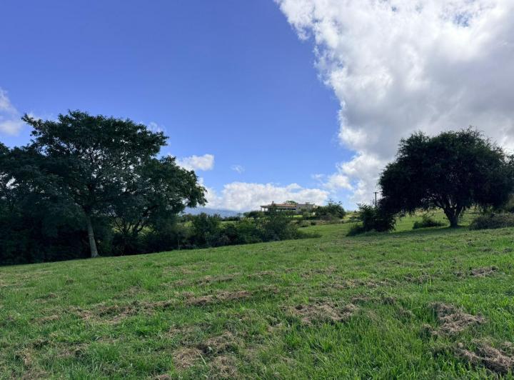 Terreno · 1786m²