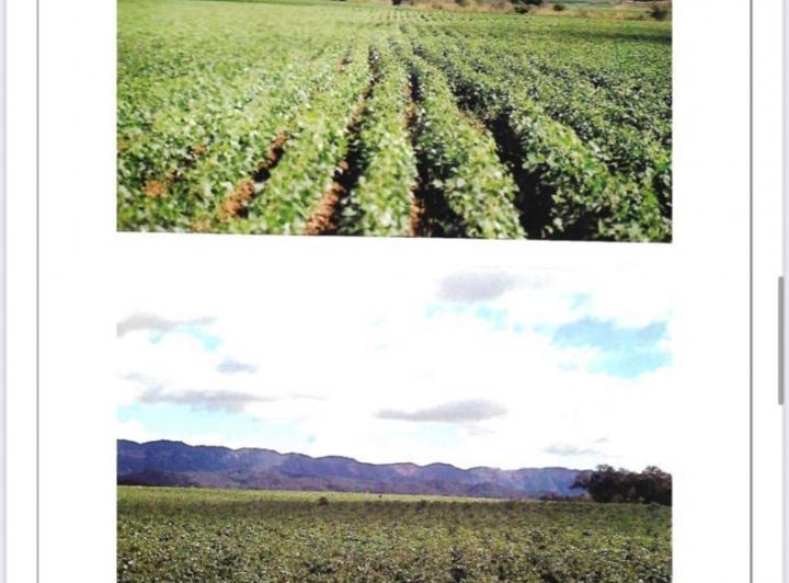 Campo · 50000m² · 1 Ambiente