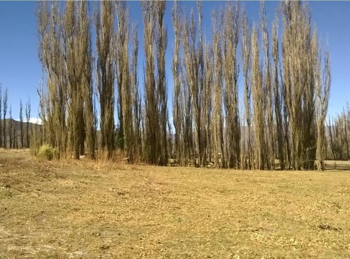 Terreno · 75000m²