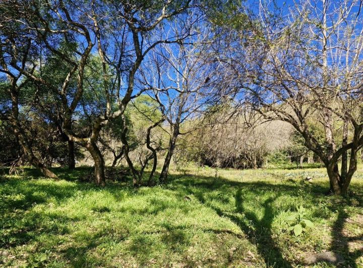 Terreno · 3500m²