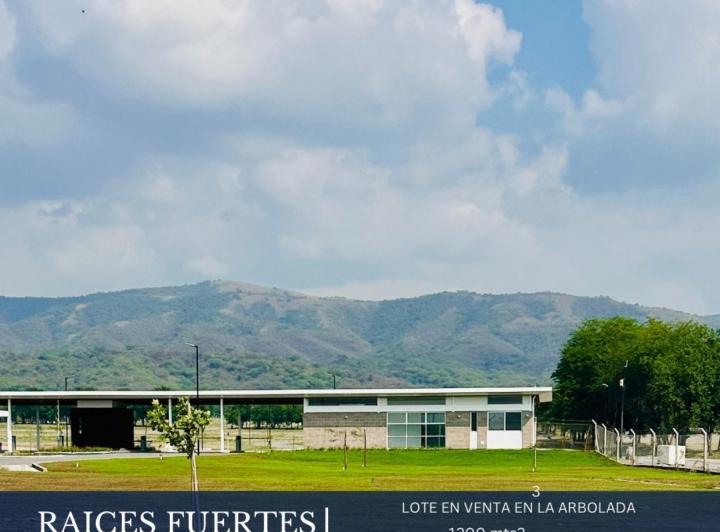 Terreno · 1202m²