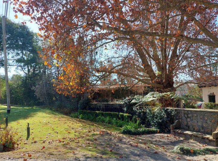 Terreno · 1342m²