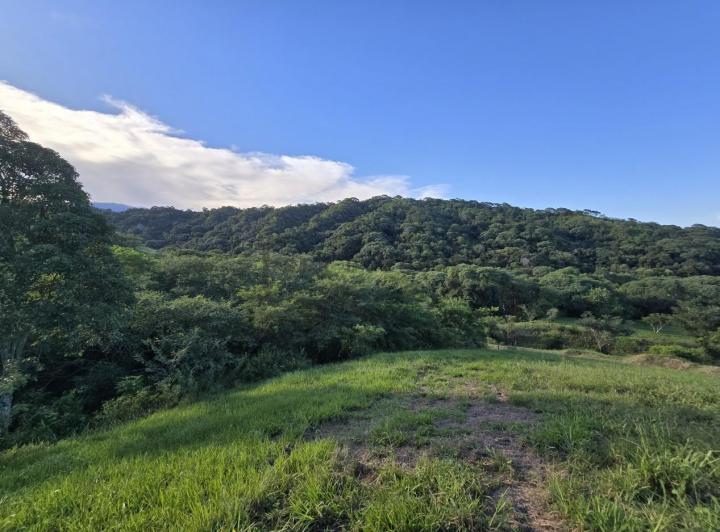 Terreno · 2442m²