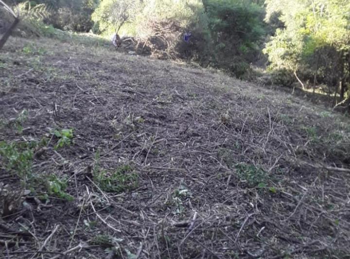 Terreno · 2962m²