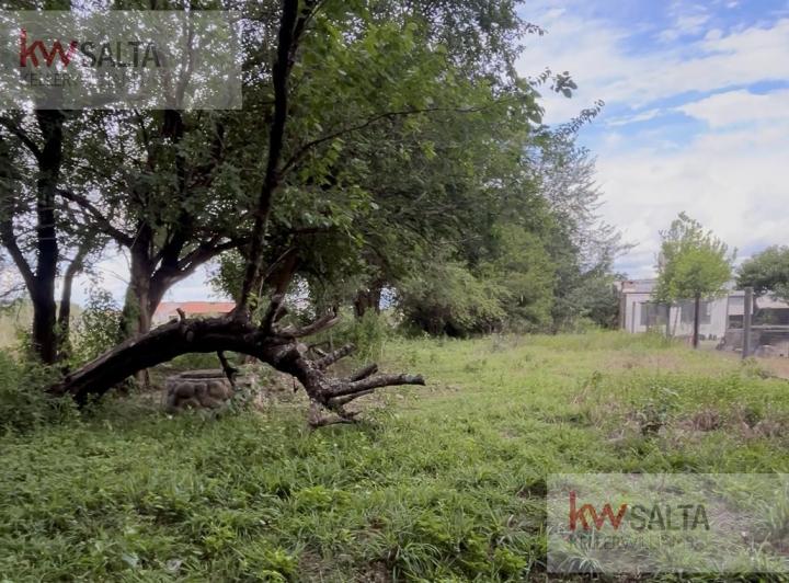 Terreno · 832m²