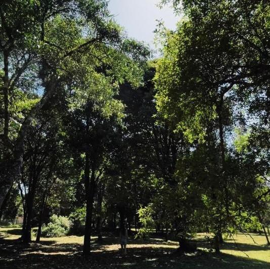 Terreno · 1847m²