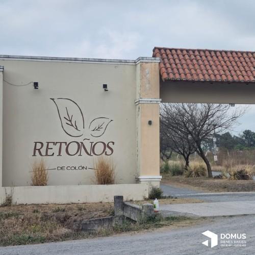 Terreno · 484m²