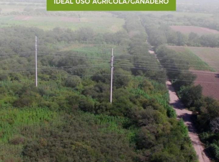 Terreno · 22ha
