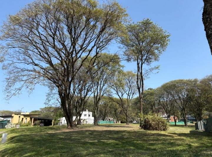 Terreno · 710m²