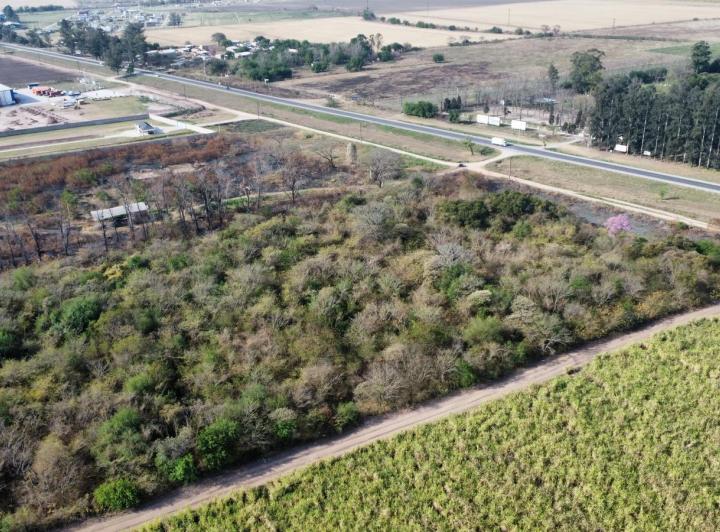 Terreno · 135000ha