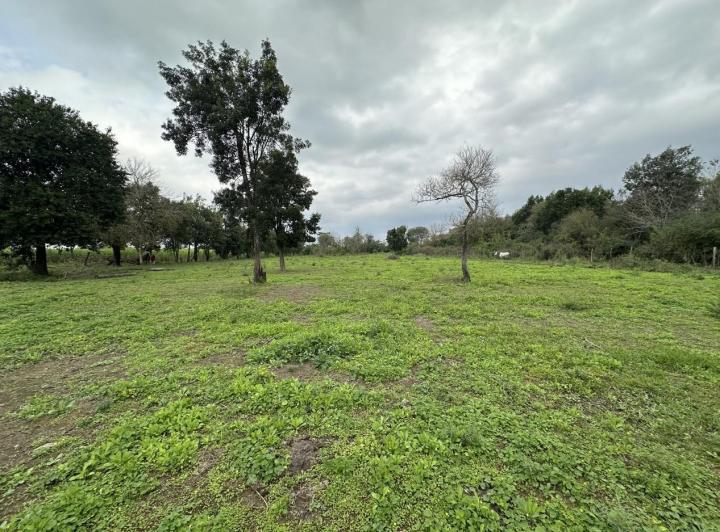 Terreno · 10000m²