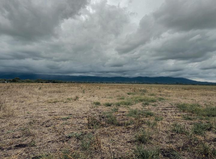 Terreno · 80000ha