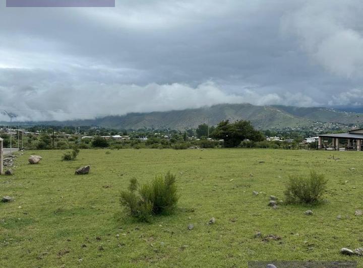 Terreno · 1537m²