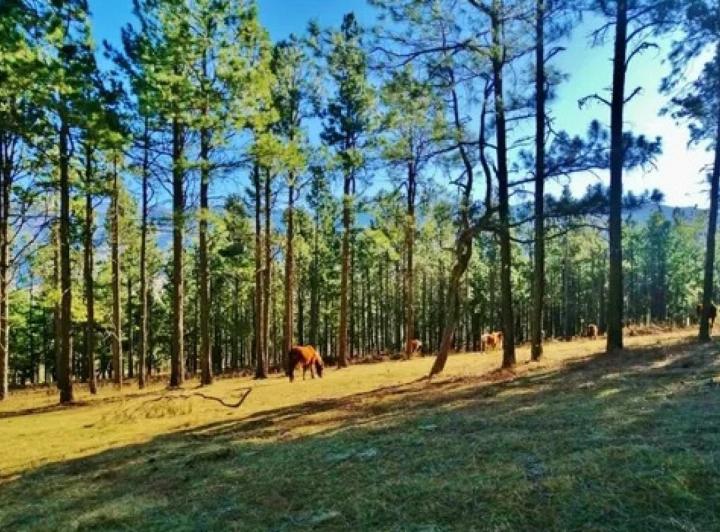 Terreno · 4710m²
