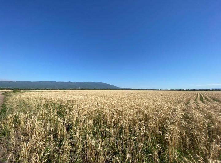 Terreno · 10000m²