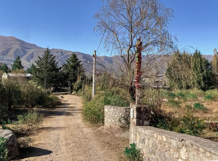 Terreno · 1000m²
