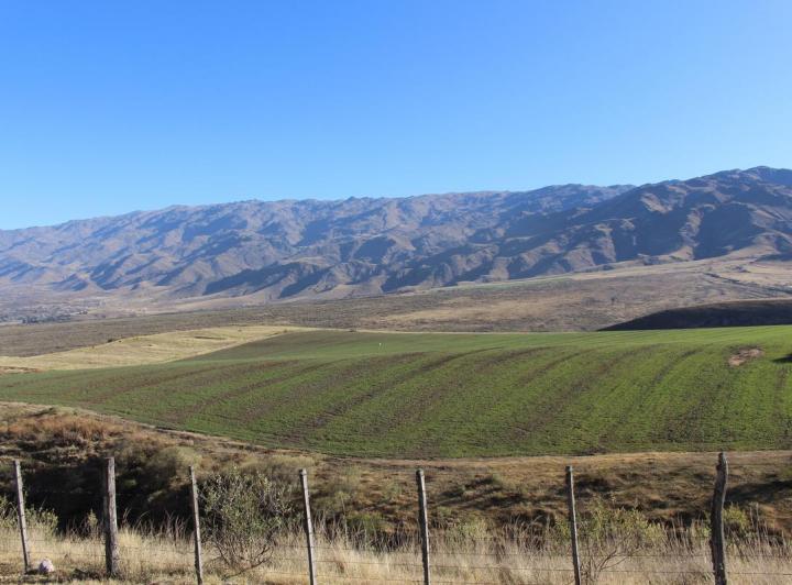 Terreno · 2000m²