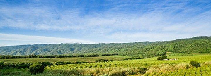 Campo · 10m²