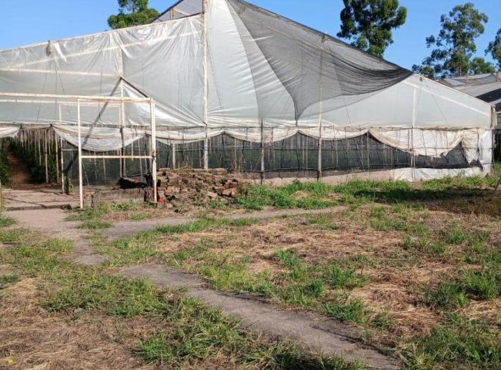 Campo · 4m²