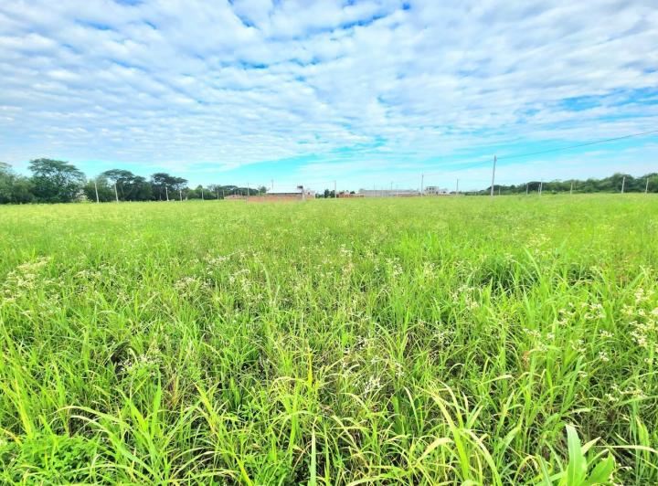 Terreno · 300m²
