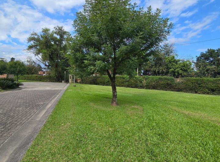 Terreno · 803m²