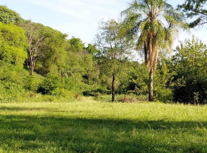 Terreno · 1467m²
