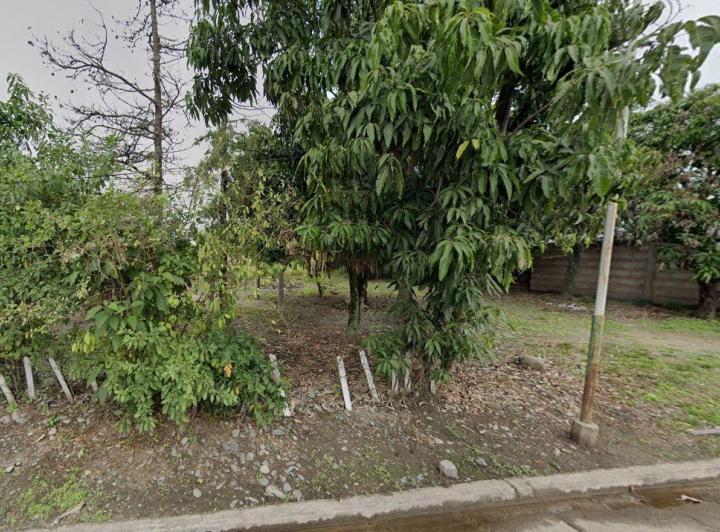 Campo · 1m²