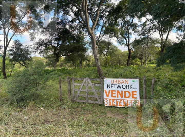 Campo · 40000m²