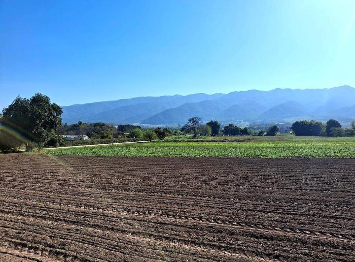 Terreno · 6939m²