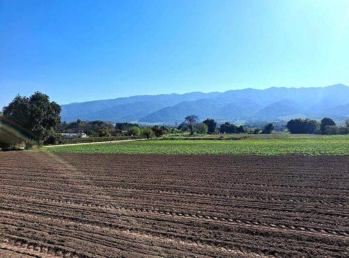 Terreno · 6939m²