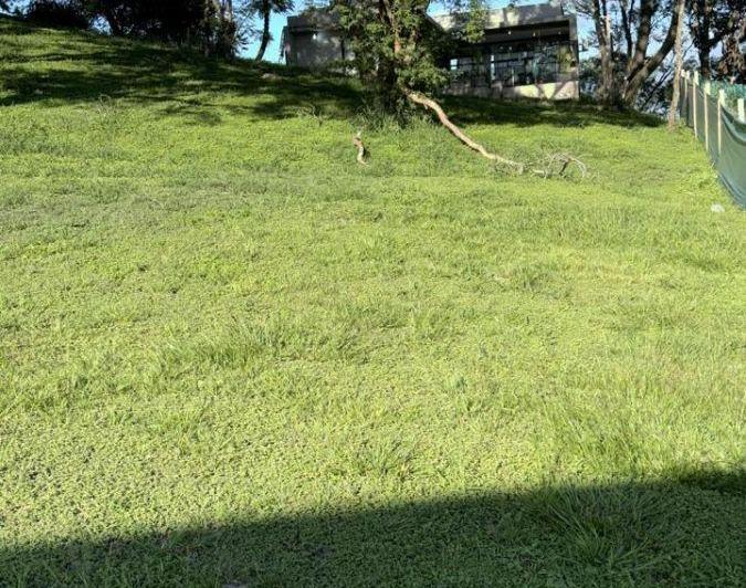Terreno · 1m²