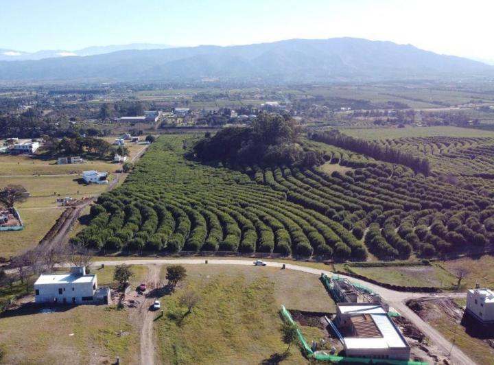 Terreno · 557m²