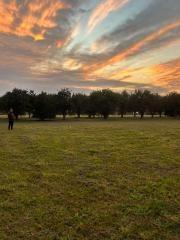 Terreno · 5000m²