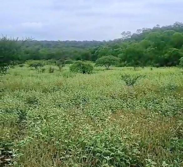 Quinta vacacional · 14500000m²
