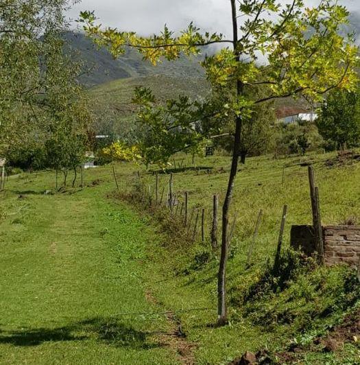 Terreno · 12000m²