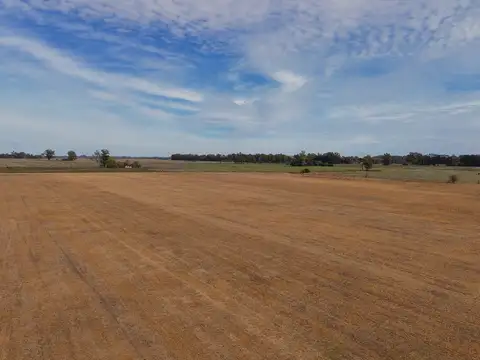Campo en Venta en San Andres de Giles, Partido de San Andrés de Giles