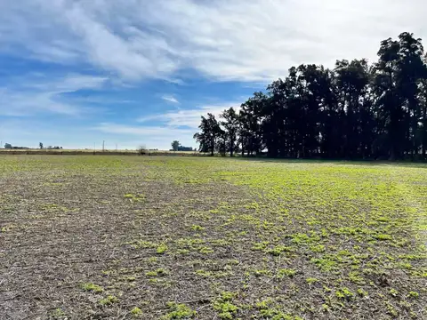 Campo en Venta en General Rojo, Partido de San Nicolás