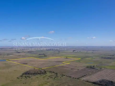 Campo en Venta en Navarro, Partido de Navarro