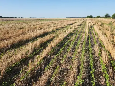 Terreno en Venta en Gahan, Partido de Salto