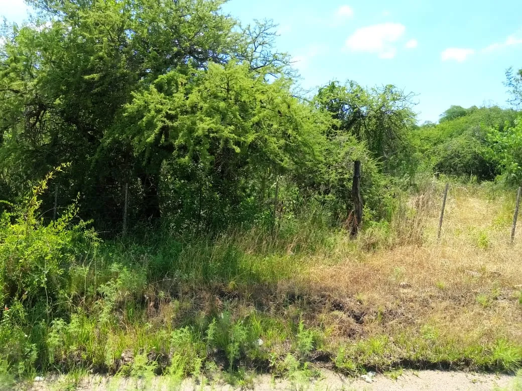 Se VENDE hermoso lote baldio a solo 6 cuadras de la ruta E53 en Agua de Oro