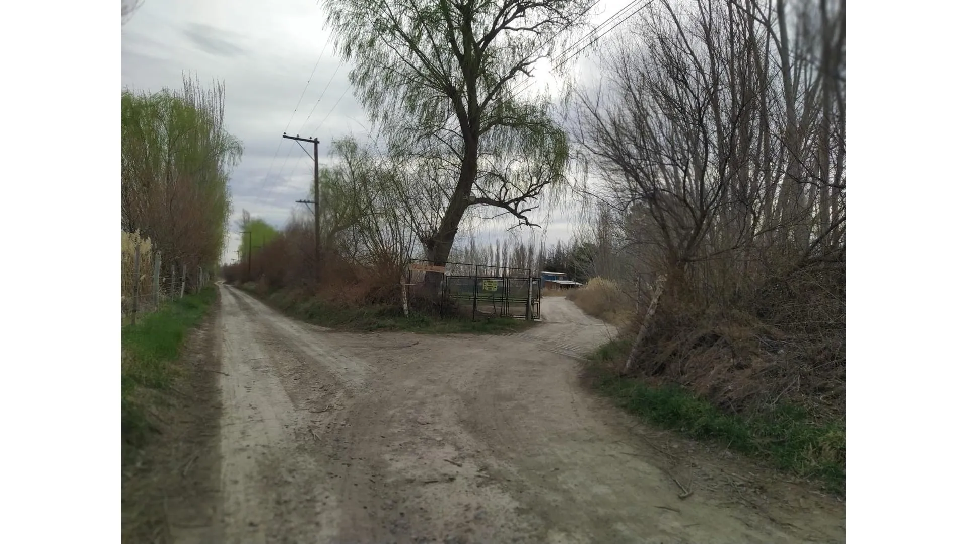 Venta Terreno " Colonia LA LUCINDA" Cipolletti Rio Negro