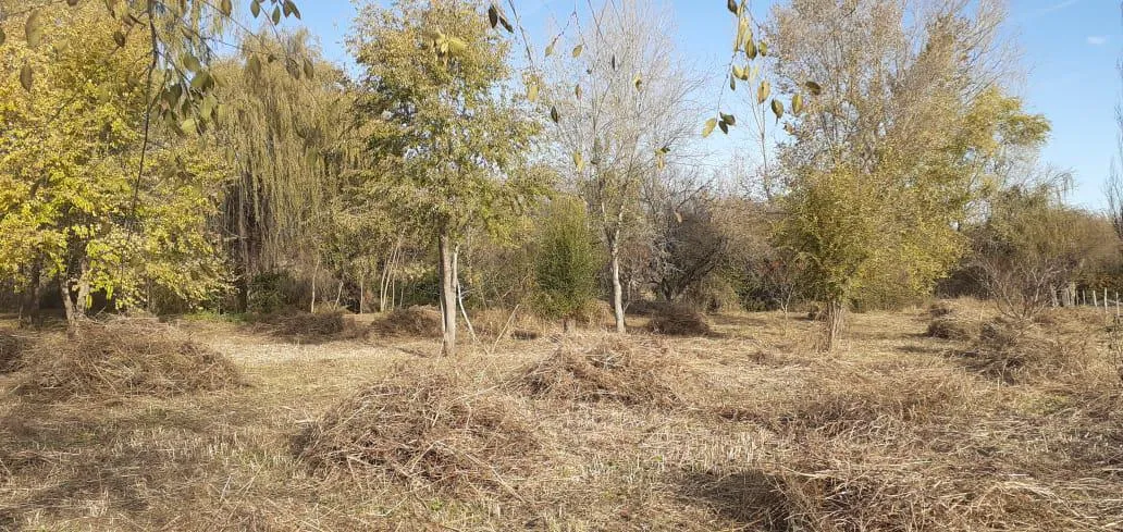 Terrenos en venta en Arroyo Los Patos
