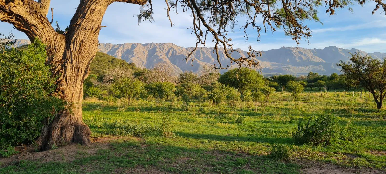 Terreno en venta en Las Calles