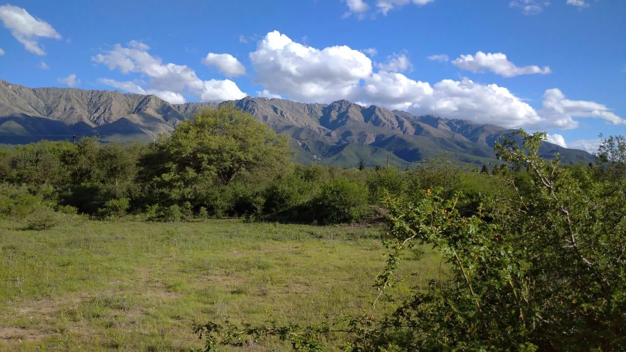 Terreno en venta en Las Calles
